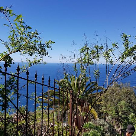 Villa Larnia de Tenerife El El Sauzal Esterno foto