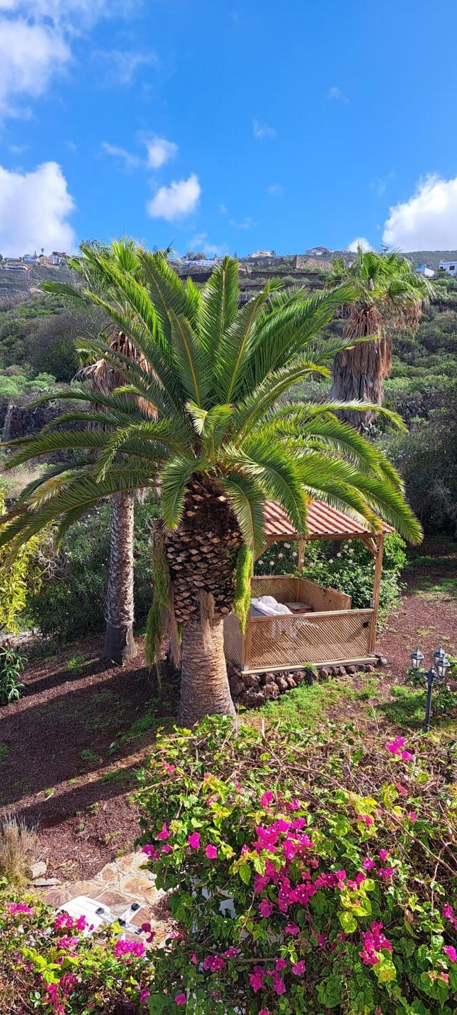 Villa Larnia de Tenerife El El Sauzal Esterno foto