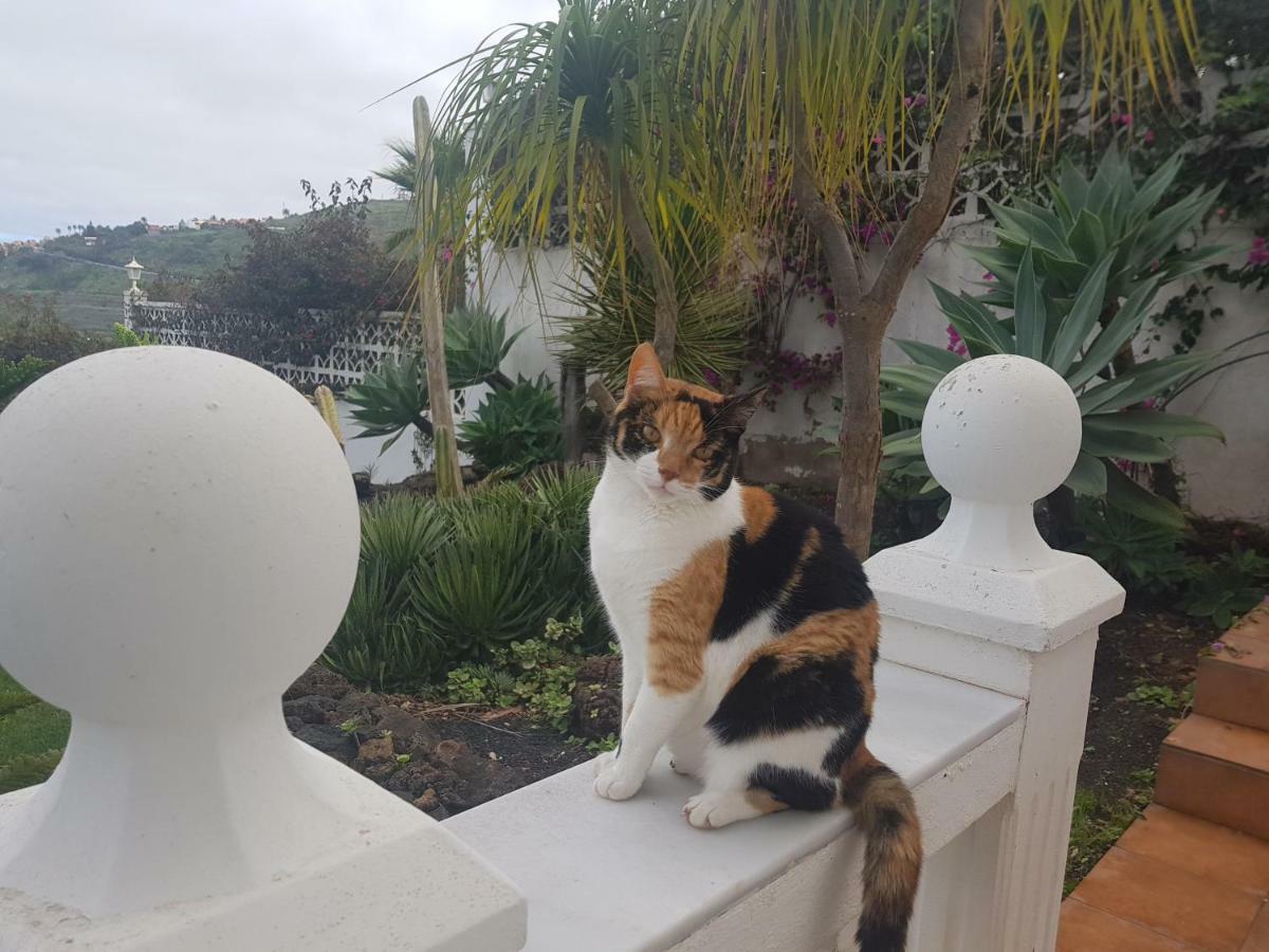 Villa Larnia de Tenerife El El Sauzal Esterno foto